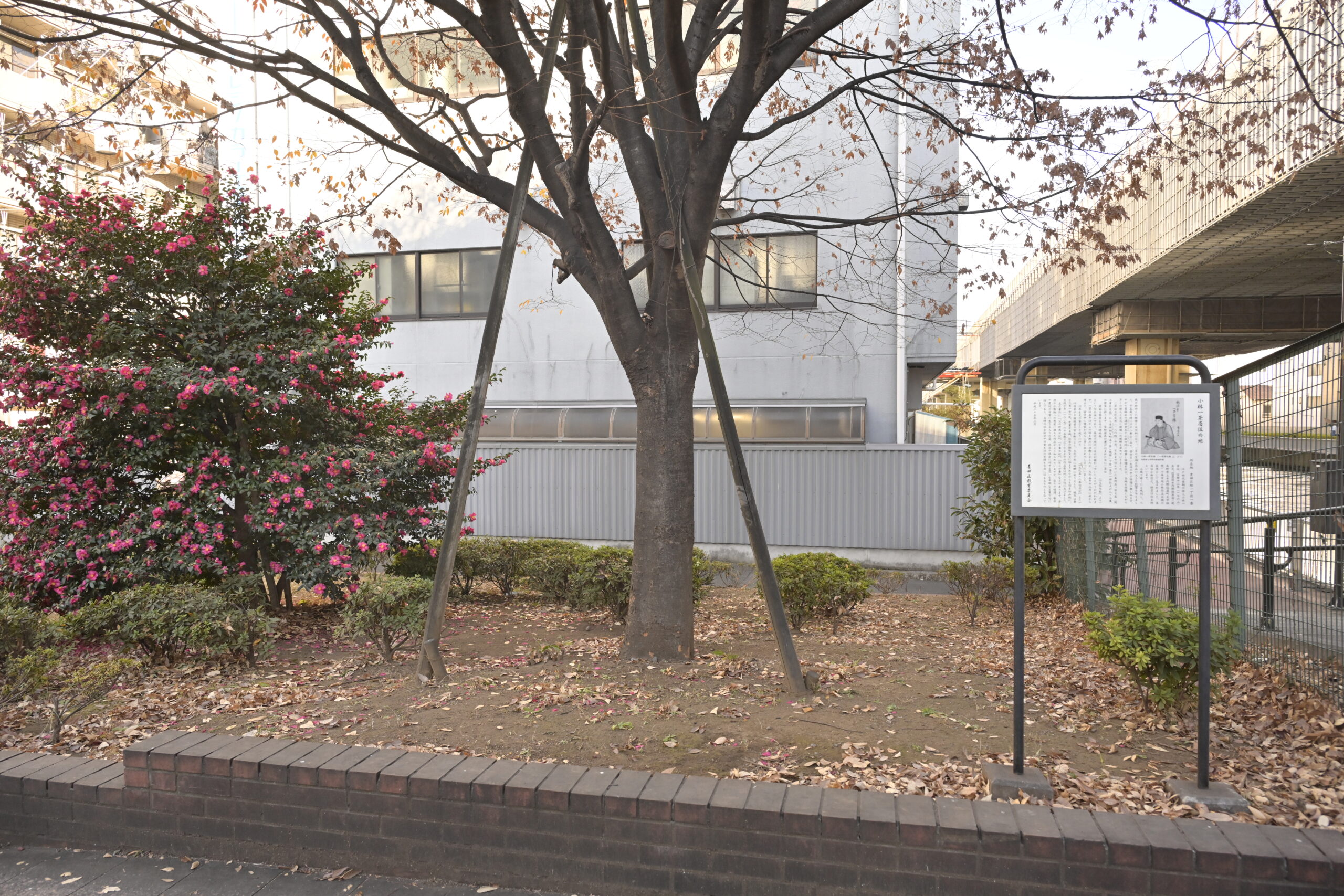 小林一茶・立川焉馬の旧居跡碑