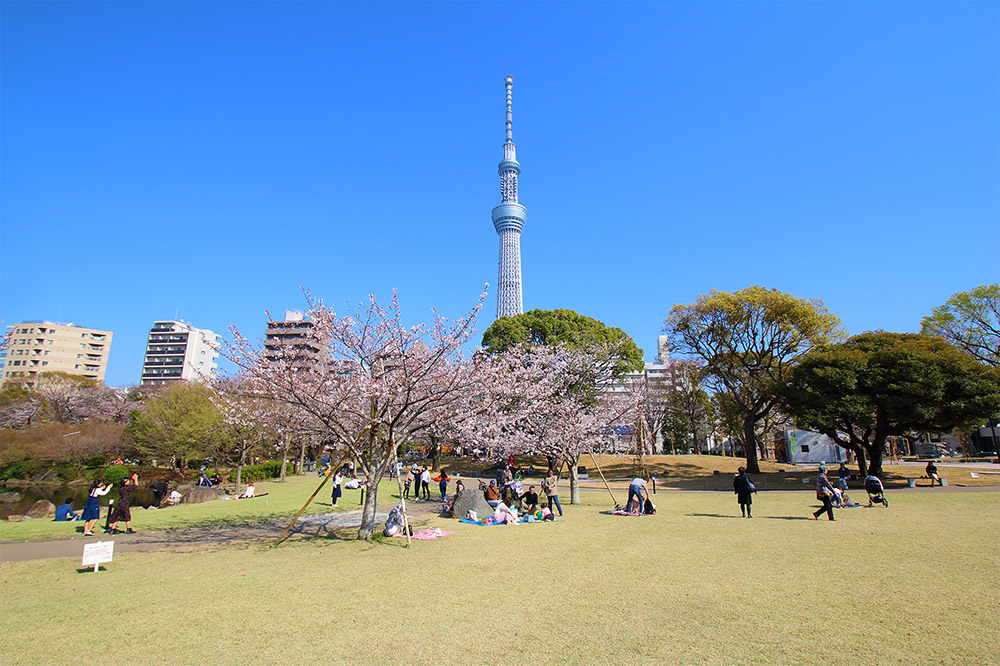 隅田公園