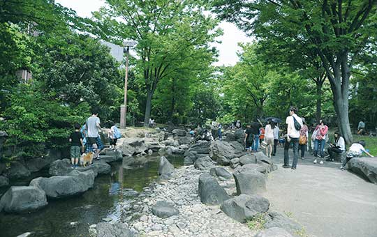 水と緑を巡る江戸散歩